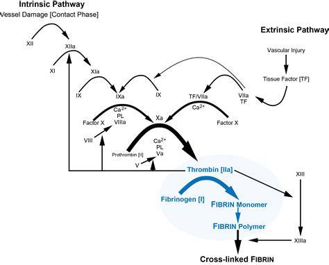 fibrinogen
