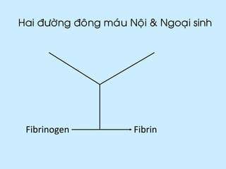 fibrinogen kya hai
